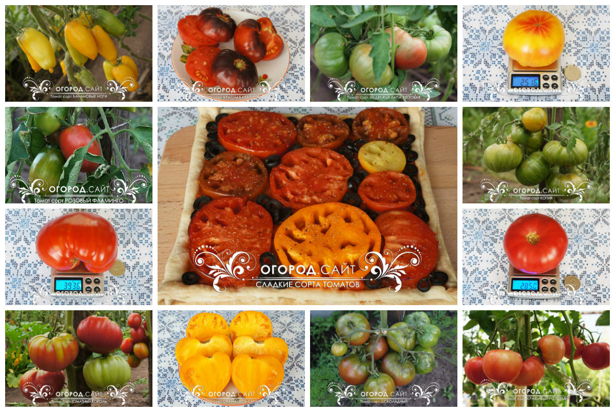 Коллекция семян «Сладкие томаты»